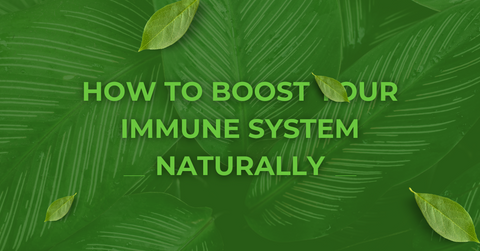 How to Boost Your Immune System Naturally | Shop Immune-Boosting Supplements in Pakistan